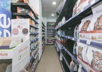 Respighi 1-7.jpg - Commercial Premises piazza respighi 5, Torino - photo 13