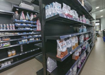 Respighi 1-8.jpg - Commercial Premises piazza respighi 5, Torino - photo 14