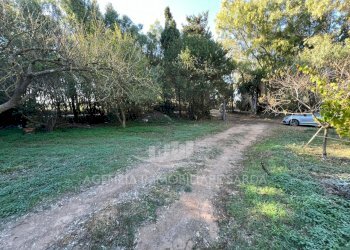 WhatsApp Image 2025-10-21 at 12.06.29 (1).jpeg - Trilocale Alghero - foto 6