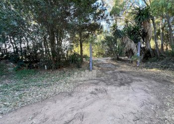 WhatsApp Image 2025-10-21 at 12.06.29 (2).jpeg - Trilocale Alghero - foto 7