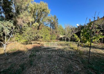 WhatsApp Image 2025-10-21 at 12.06.29 (7).jpeg - Trilocale Alghero - foto 8