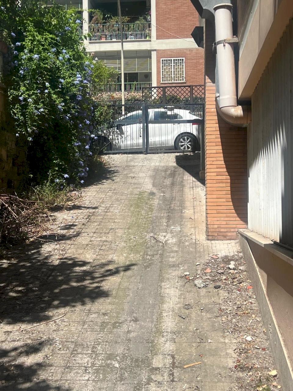 IMG-20250724-WA0019.jpg - Magazzino Via Alfredo Panzini, Roma - foto 1