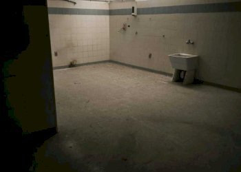 IMG-20250723-WA0019.jpg - Magazzino Via Alfredo Panzini, Roma - foto 5