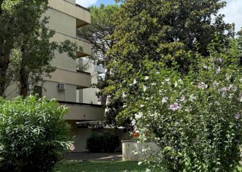 IMG-20250723-WA0012.jpg - Appartamento Via Nicolo Giorgi, Roma - foto 11