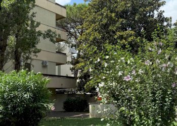 IMG-20250723-WA0012.jpg - Appartamento Via Nicolo Giorgi, Roma - foto 11