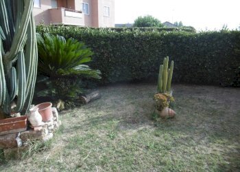 P1000985.JPG - Trilocale VIA LORENZO ALLIEVI, Roma - foto 17