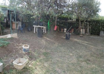 P1000988.JPG - Trilocale VIA LORENZO ALLIEVI, Roma - foto 20