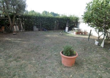 P1000990.JPG - Trilocale VIA LORENZO ALLIEVI, Roma - foto 22