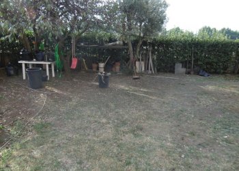 P1000991.JPG - Trilocale VIA LORENZO ALLIEVI, Roma - foto 23