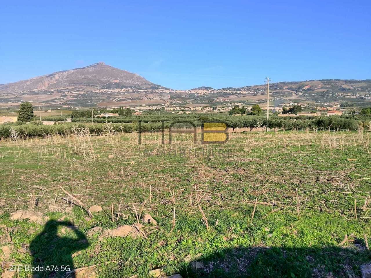 17000mq.jpg - Agricultural land Valderice - photo 3