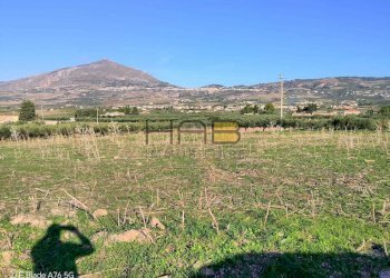 17000mq.jpg - Terreno agricolo Valderice - foto 3