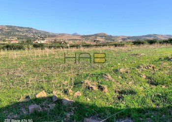f61b0ee0-d684-4a08-a930-915668be6cdb.jpg - Terreno agricolo Valderice - foto 4