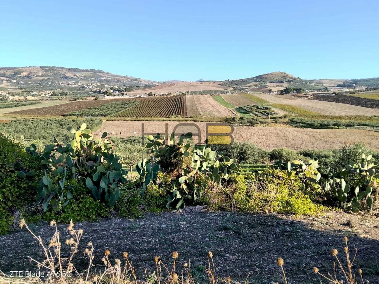 22000 vista da alto.jpg - Terreno agricolo Valderice - foto 2