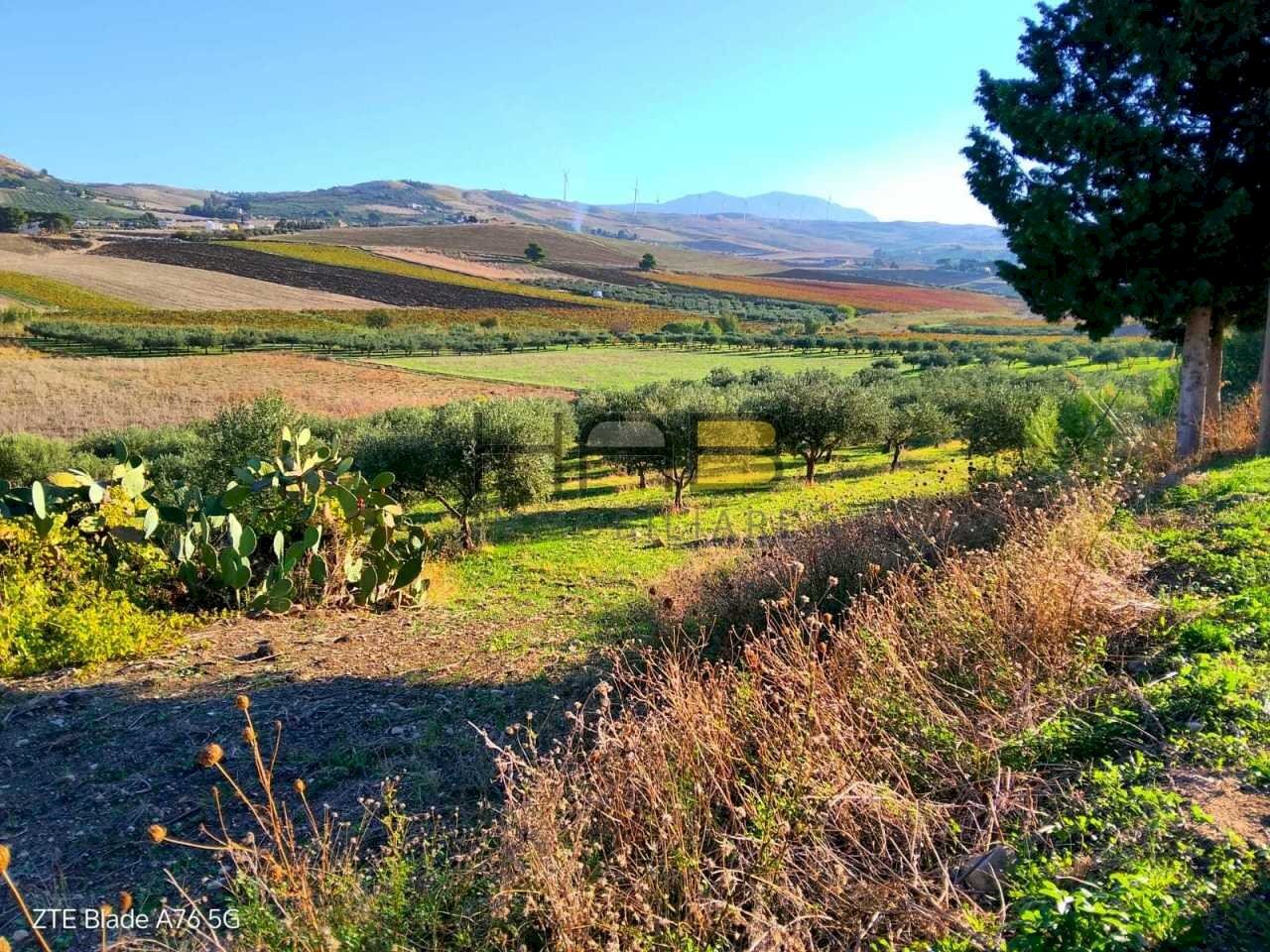 22000mq foto 2.jpg - Terreno agricolo Valderice - foto 3