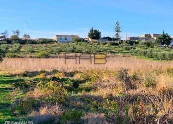 22000 mq.jpg - Terreno agricolo Valderice - foto 1