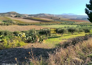 22000 mq vista cornino.jpg - Terreno agricolo Valderice - foto 4