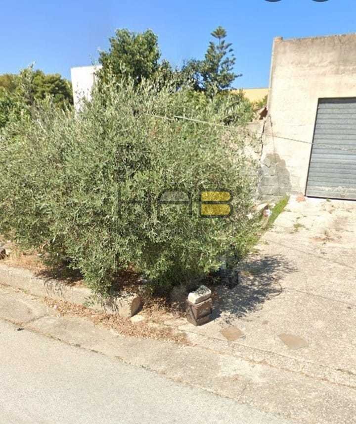 162aa868-9e33-4f95-a5c3-ada4295520c3.jpeg - Building land Buseto Palizzolo - photo 3