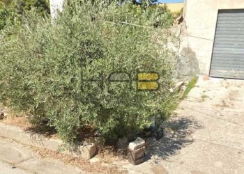 162aa868-9e33-4f95-a5c3-ada4295520c3.jpeg - Terreno edificabile Buseto Palizzolo - foto 3