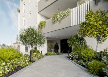 Appartamento Piove di Sacco - foto 3