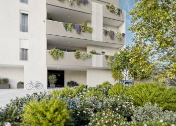 Appartamento Piove di Sacco - foto 4