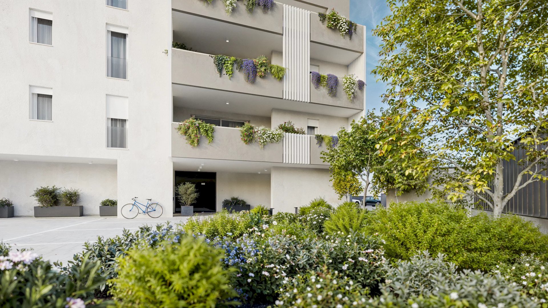 Appartamento Piove di Sacco - foto 2