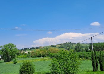 Casale Nizza Monferrato - photo 7