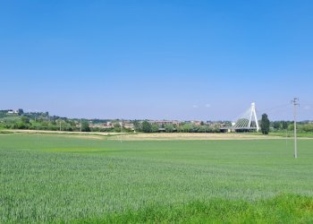 Casale Nizza Monferrato - photo 8