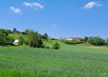 Casale Nizza Monferrato - photo 9