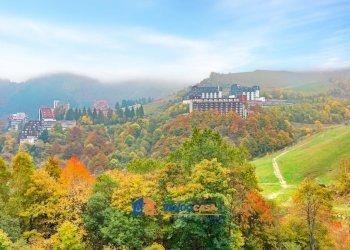 Trilocale Frabosa Sottana - foto 29