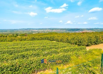 Bilocale Verduno - foto 8