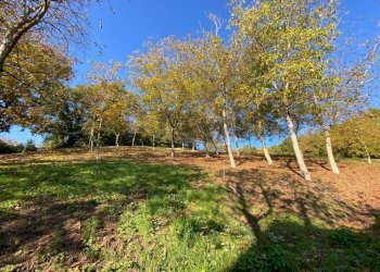 Rustico via Statale, Fiorano Modenese - foto 9