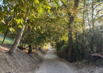 Rustico via Statale, Fiorano Modenese - foto 28