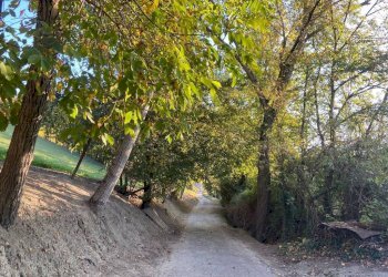 Rustico via Statale, Fiorano Modenese - foto 29