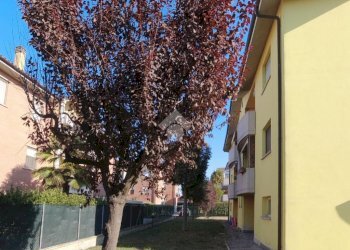 Bilocale Via Antonio Vivaldi, Castello d'Argile - foto 3