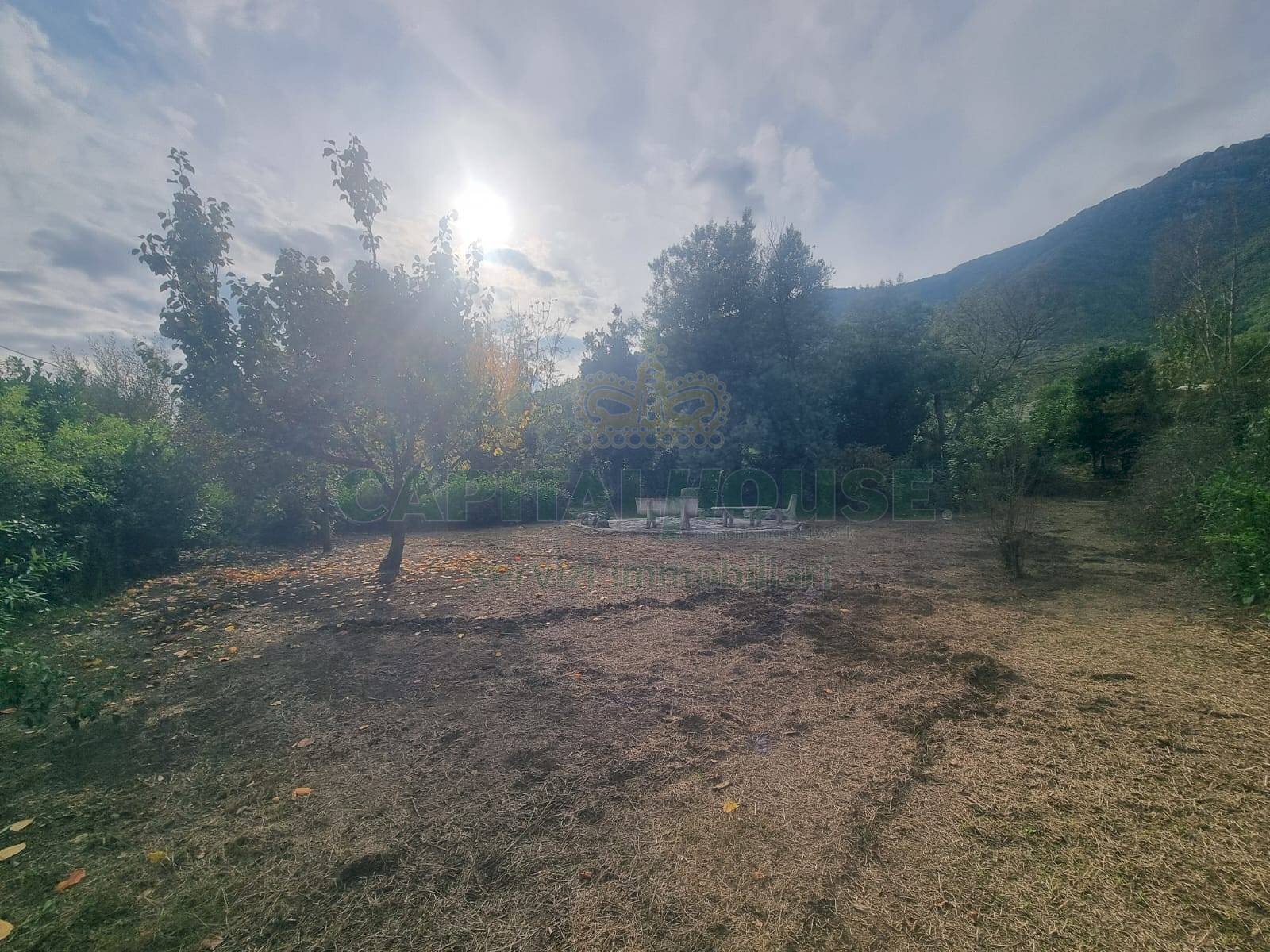 Foto 2 - Terreno agricolo via Roma, Montoro - foto 2