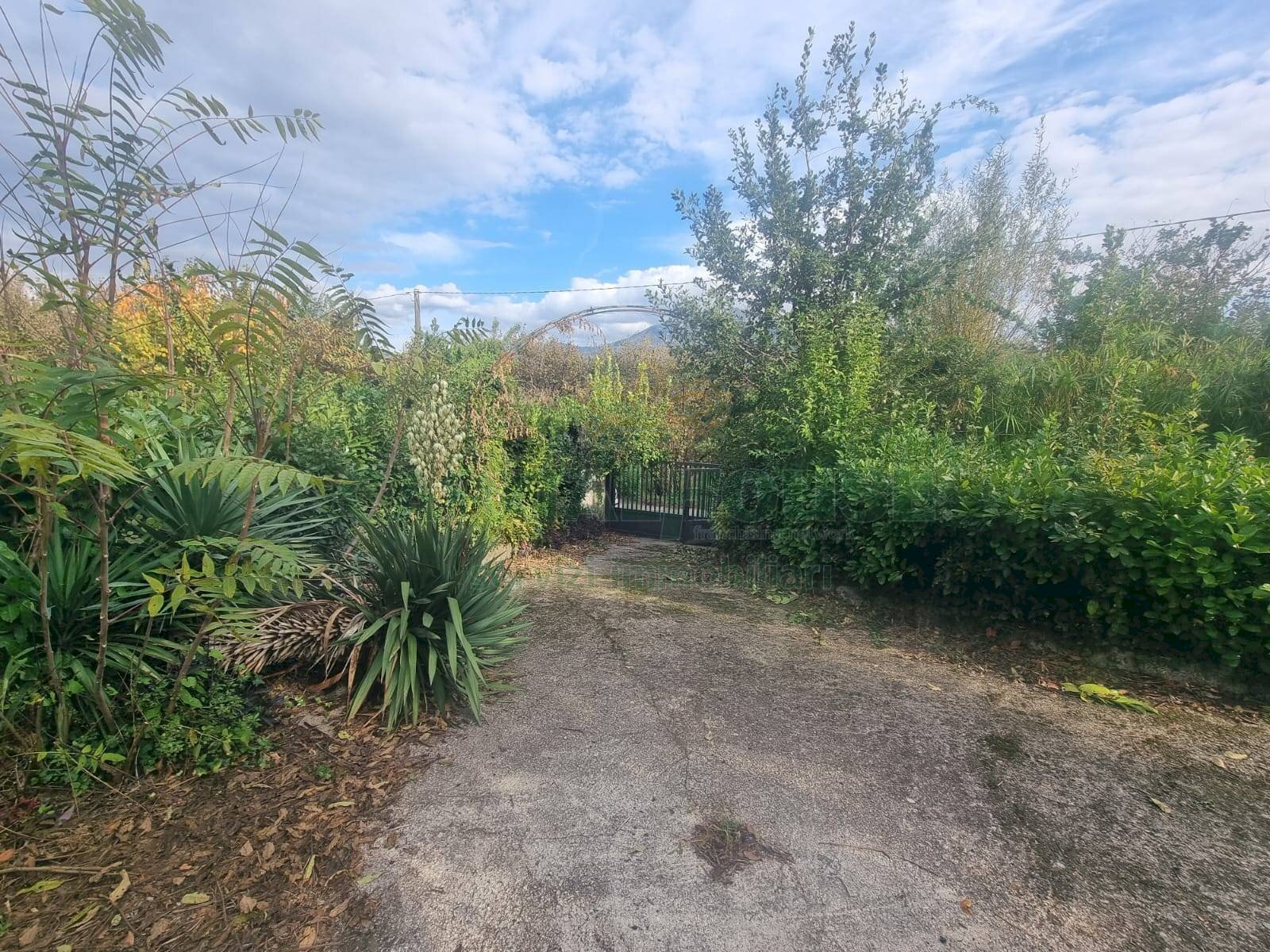 Foto 3 - Terreno agricolo via Roma, Montoro - foto 3