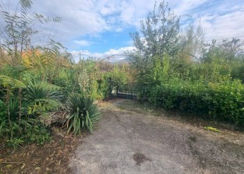 Foto 3 - Terreno agricolo via Roma, Montoro - foto 3