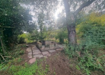 Foto 4 - Terreno agricolo via Roma, Montoro - foto 4