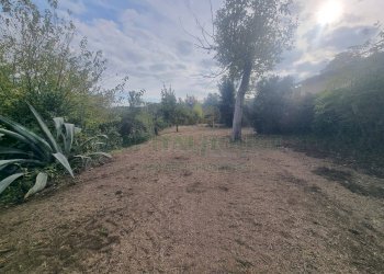 Foto 9 - Terreno agricolo via Roma, Montoro - foto 9