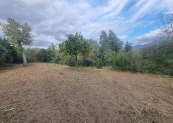 Foto 10 - Terreno agricolo via Roma, Montoro - foto 10