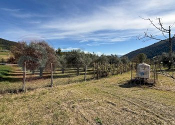 Foto 20 - Casa indipendente Via Gerardi
 
15/A, Roccasecca - foto 20