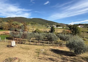 Foto 40 - Casa indipendente Via Gerardi
 
15/A, Roccasecca - foto 40