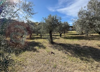 Foto 48 - Casa indipendente Via Gerardi
 
15/A, Roccasecca - foto 48