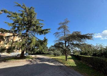 Foto 19 - Appartamento Viale Trento
 
snc, Fermo - foto 19