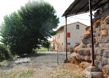 Foto 2 - Rustico Recanati - foto 2