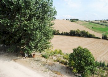 Foto 4 - Rustico Recanati - foto 4