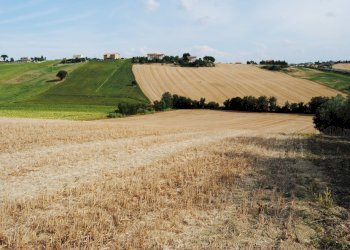 Foto 5 - Rustico Recanati - foto 5