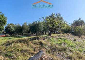 Foto 11 - Rustico Recanati - foto 11