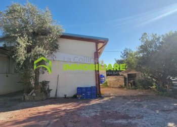 Foto 2 - Locale Commerciale VIA APPIA SUD, Velletri - foto 2