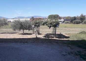 Foto 37 - Villa Via Monte Vedlino, Manoppello - foto 37